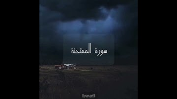 سورة : الممتحنة القارئ : أحمد العبيد