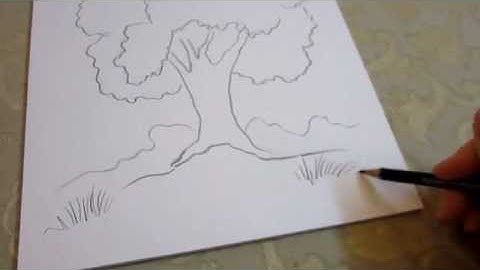 How To Draw a Tree - easy, quick and simple