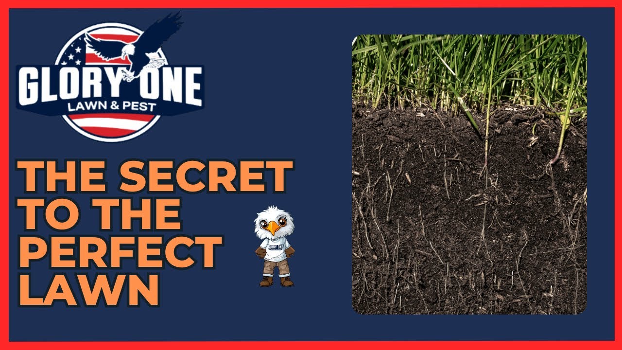 The Secret to a Perfect Lawn? It’s All in the Soil! YouTube