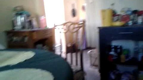bojorcada y sus buchoaventuras