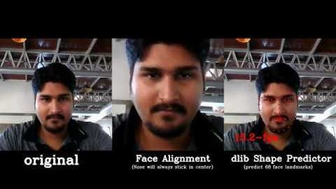 Shape Predictor - 68 face landmarks