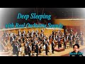 Deep Sleeping with Real Orchestra Sounds 🎻🌙 Soothing melodies for peaceful rest