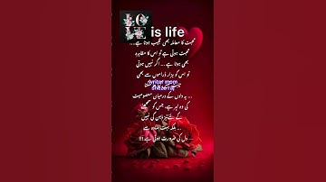 #deeplines1 #writer #محبت #نفرتيتي