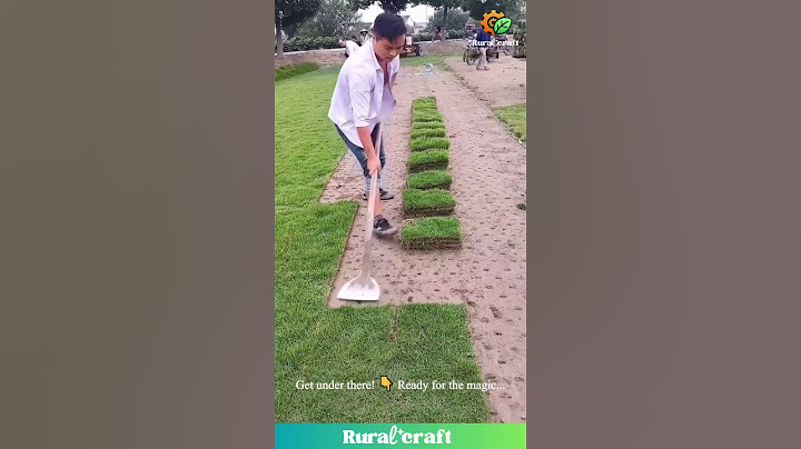 PERFECT Sod Flip Every Time?! 🤯 Is This the Most Satisfying Job?! #satisfying #oddlysatisfying