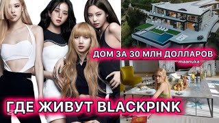 :   BLACKPINK?/ /