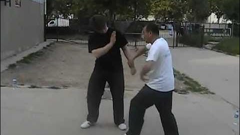 Shang Xing Yi Quan - Quick Demonstration of Basic Application