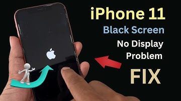 iPhone 11 No Display Blank Screen Fix! Display Black No image Fix