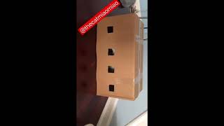 🔴 CAT IN A BOX, WITH SOUND EPIC, #CATS, #MEME, #CAT #MEMES (NEW IN 2025)