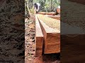 Slicing big timber like a pro! 🪵⚙️ #shorts #woodworking #chainsaw