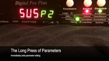 Record & Overdub on the Echoplex Digital Pro