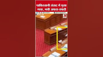 Pakistan Parliament Donkey Viral Video: पाकिस्तानी संसद में घुसा गधा। #ytshorts #trendingshorts