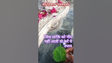 जिस व्यक्ति को नींद नहीं आती तो करें यह उपाय#upay #pradeepmishra #ytviral #trending #shortsfeed