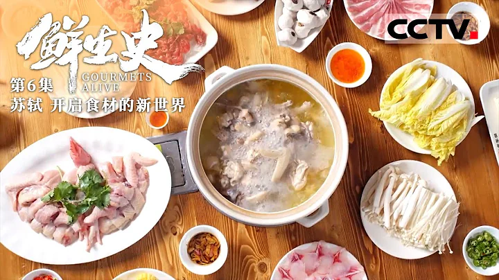 《鲜生史》第6集 羊蝎子、打边炉 乐天派苏轼如何在被贬谪时还能体会美食的快乐？Gourmets Alive【CCTV纪录】 - 天天要闻