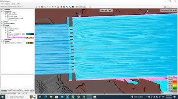 HEC RAS 2D Modeling Gate Flow Analysis