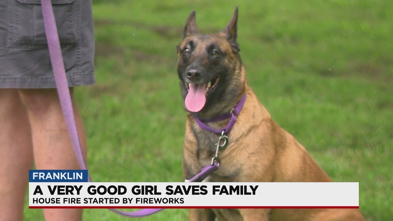 Dog Saves Family From House Fire - YouTube