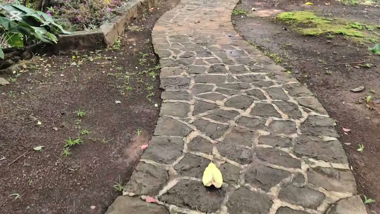 Ene ti balade a Curepipe 