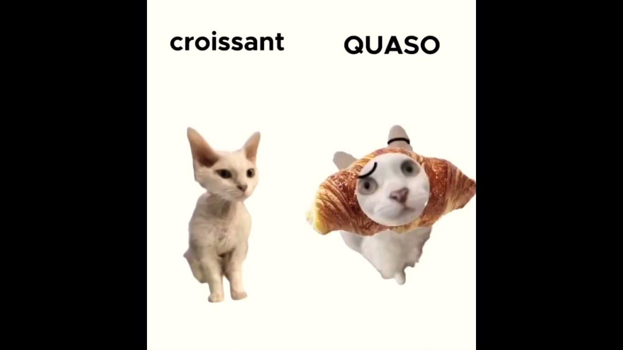 Today I Wanted To Eat A CROISSANT meme funny fypシ YouTube