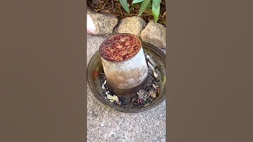 Testing testing testing is where I’m at right now! I’m developing luster glazes and doing the initia