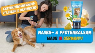 Der Pfotenbalsam & Nasenbalsam für Hunde & Katzen  Bei trockenen und rissigen Pfoten & Nasen