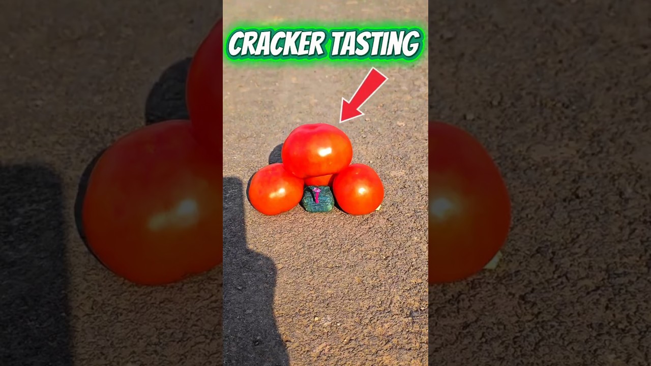 💥 VIP Crackers Testing | Safe Display 🎇 