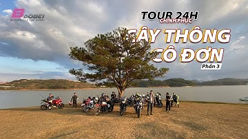 Tour 24h - Cây thông cô đơn Đà Lạt | Phần 3: Đường dễ dàng, ai cũng đến được