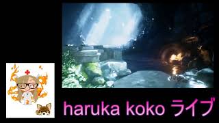 haruka koko のライブ ストリーム