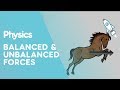 Balanced Forces and Newton's Laws in Action