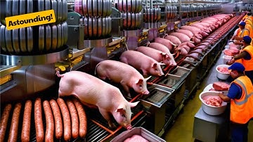 Satisfying Videos Food Industry Machines That Are At Another Level 89