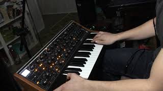 Video thumbnail of "Lingus (Snarky Puppy) Moog Synth Solo"