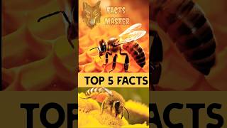 Top 5 facts || #facts #factsmaster #shorts