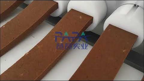 Multiple row protein/date/energy bar extrusion extruder machine for USA