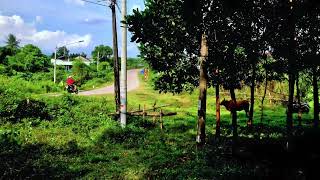 Đất 1Tỷ530 Đất Mặt Tiền Ql14E Gần Uỷ Ban Xã Sông Trà 17M X 35M Được 3 Nền