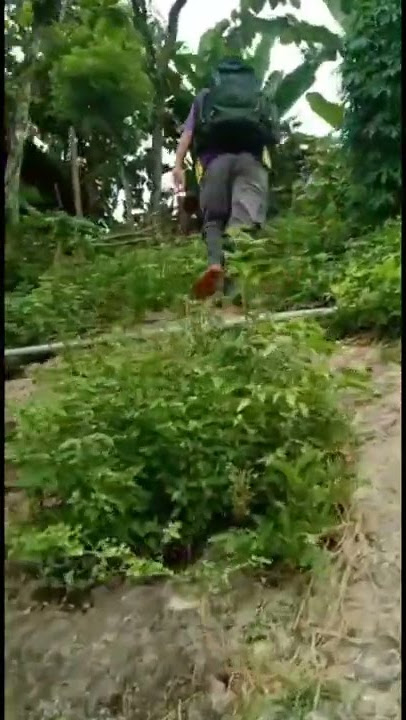Story wa sibolang 30 detik