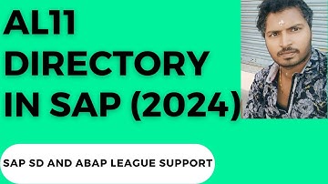 AL11 directory in SAP (2024)