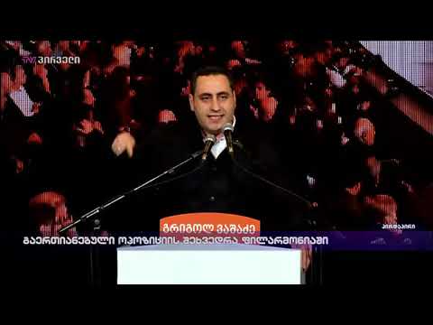 \"საქართველოში, ოპოზიციას ამხელა მხარდაჭერა არასოდეს ჰქონია\"-  გიორგი ვაშაძე