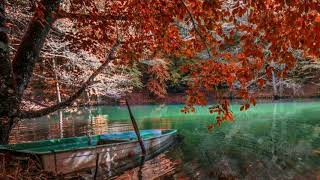 Dot Conf - Gugur Bunga [Trap Version]