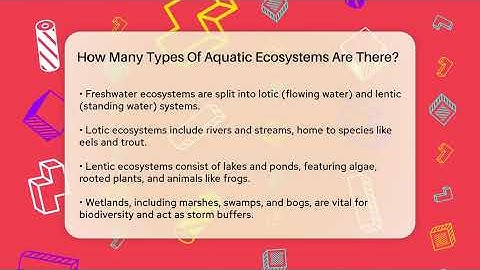 How Many Types Of Aquatic Ecosystems Are There? - Ecosystem Essentials