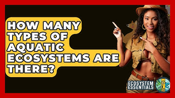 How Many Types Of Aquatic Ecosystems Are There? - Ecosystem Essentials