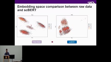 Leveraging a Single-Cell Language Model for Precise EMT Status... - Shi Pan - TransMed - ISMB 2024