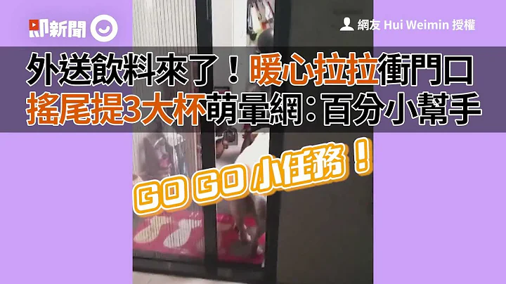 暖心拉拉冲门口领外送饮料，摇尾提3大杯萌晕网｜外送饮料｜拉布拉多 - 天天要闻