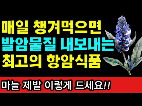 <strong>매일</strong> 챙겨먹으면 암 예방에 아주 좋은 최고의 <strong>음식</strong> 5가지 I 암이 사라지는 식사 I 항산화 밥상