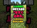 父の葬儀の契約する直前今すぐ止めろと叔父から言われました