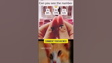 Find the Hidden Faces in 7s! 🔍 #FunfactoryUSA #ViralIllusion #explorechannel #viral #trending