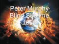 Peter Murphy Blind Sublime 1988 mp3