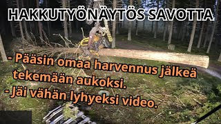 Perkuleen hyvän hakkuutyönäytös savotan aloittelua. VR81 Ponsse Scorpion K H7 AC FC