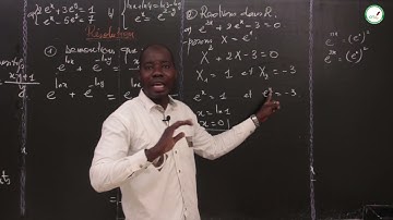 Cours -  Terminale L - Mathématiques : Fonction Exponentielle / Suite 1 / M. Mbow