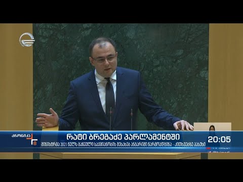 რატი ბრეგაძე პარლამენტში - კითხვებზე პასუხი