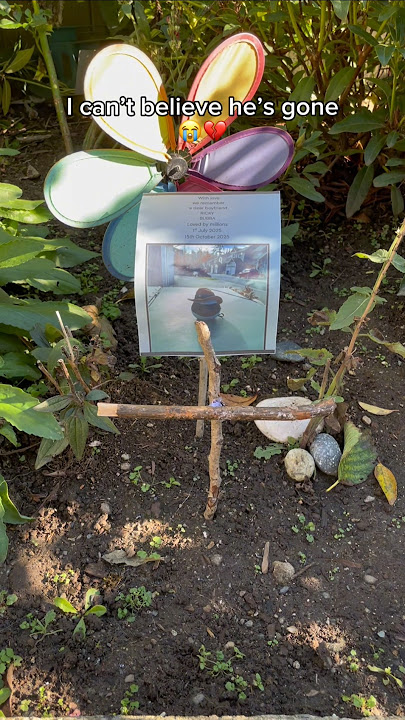 RIP - My tiny robot boyfriend 😭💕 #robot #longdistance #couples #boyfriend