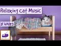 8 Hours, Relaxing Cat Music, Calming Music for Cats, Help with Cat Behaviour and Cat Anxiety issues