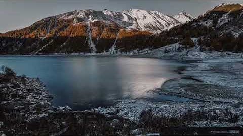 تلاوة من سورة غافر - القارئ عمر الدريويز